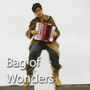 bag of wonders